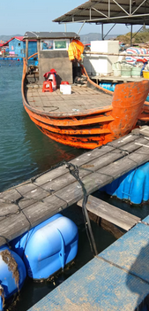 宁德市地区处理泡沫船