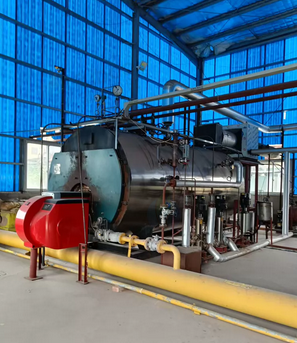 三明市地区处理蒸汽锅炉