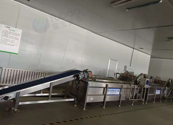 邢台市地区处理全套清洗风干输送线