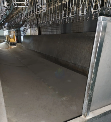 西安市地区处理宰鸡设备、自动分级称、预冷罐等