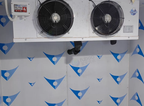 海口市地区处理商用立式冷库