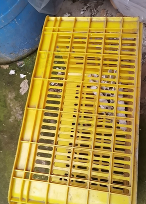 上饶市地区处理周转箱100个