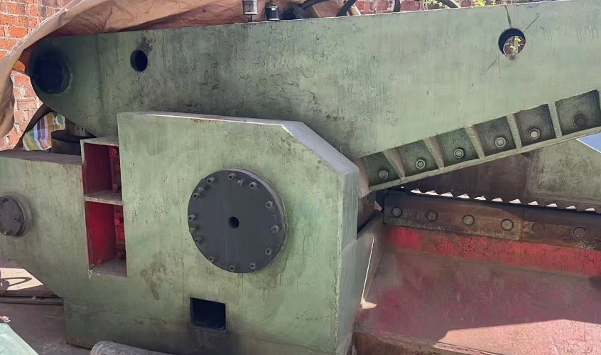 泰州市地区处理400吨鳄鱼剪