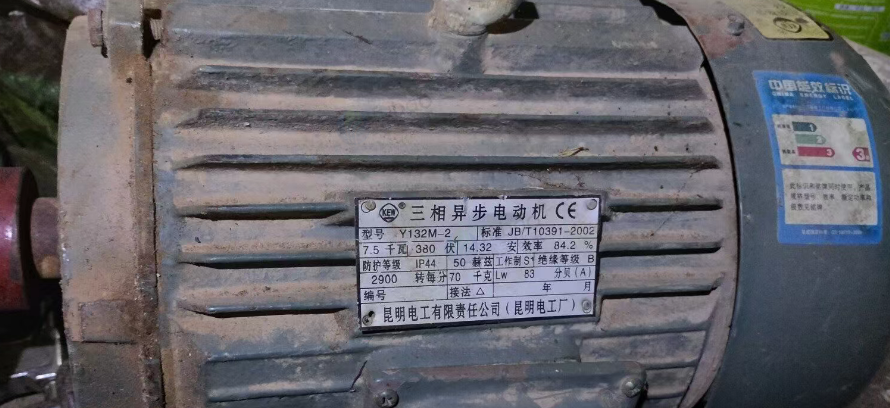 大理市地区处理电机