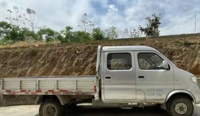 凉山市地区处理东风双排货车