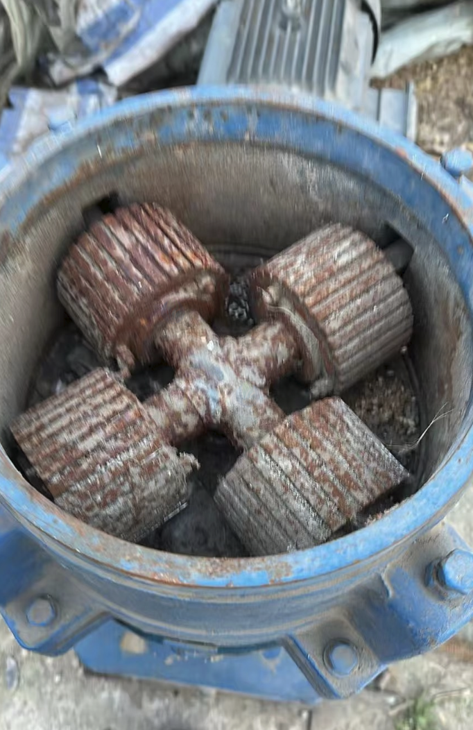 运城市地区处理饲料大型颗粒机