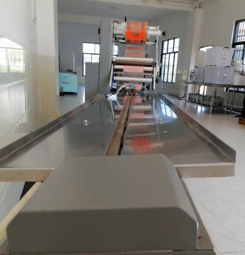 海口市地区处理全自动包装机