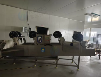 邢台市地区处理全套清洗风干输送线