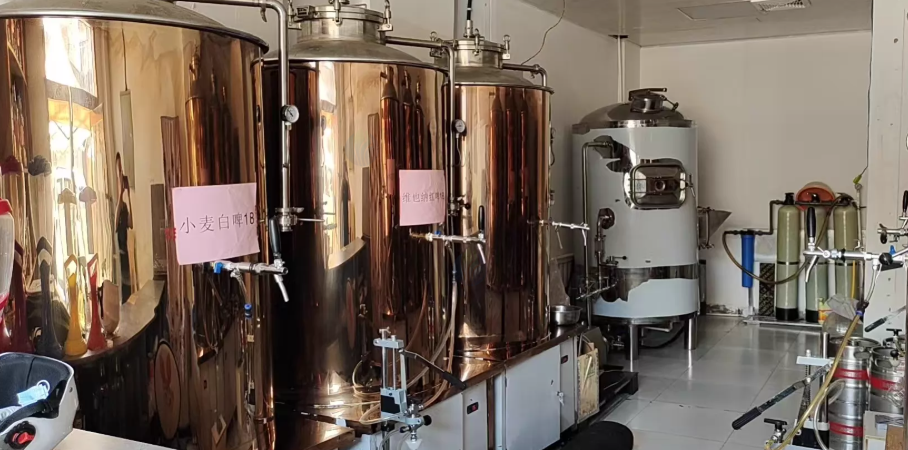 西宁市地区工厂处理精酿啤酒全套设备