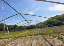 南平市地区处理大棚钢管