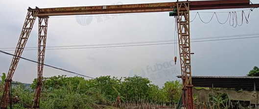 玉林市地区处理3吨龙门吊