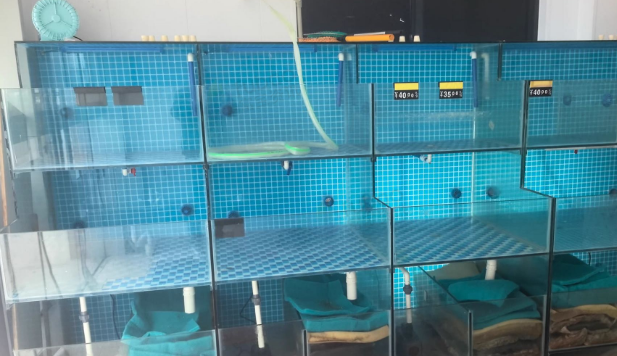 上海地区处理海鲜养殖恒温箱