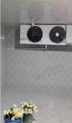 上海市地区处理30平方中型冷库