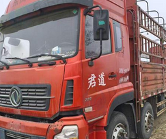 洛阳市地区处理东风高栏板车