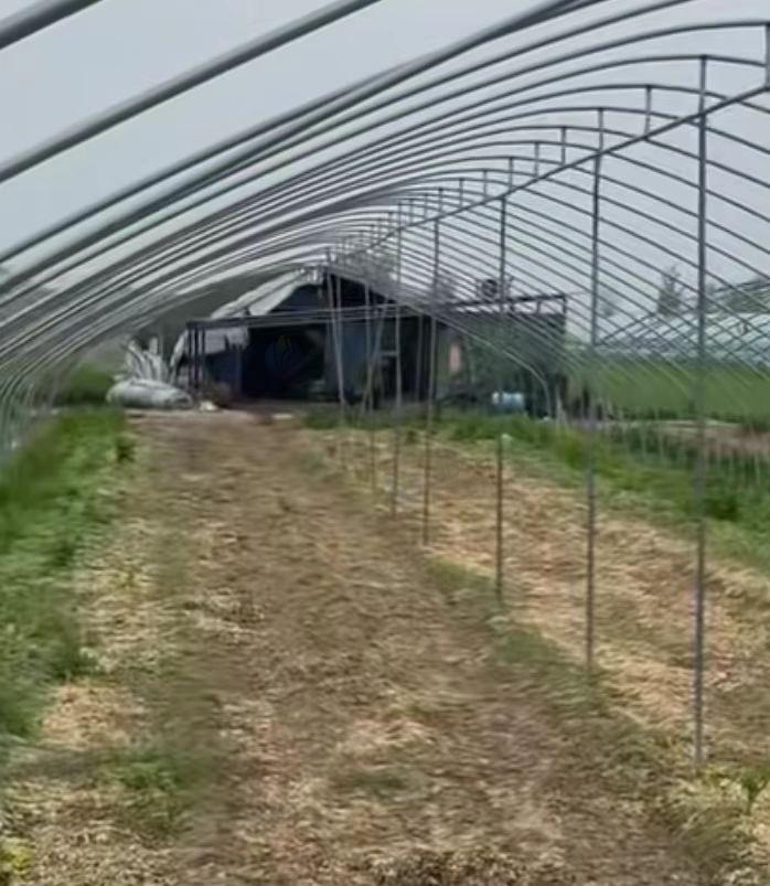 周口市地区处理四十亩大棚