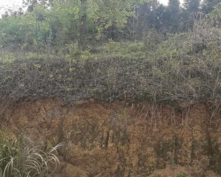 池州市地区处理4万方黄土