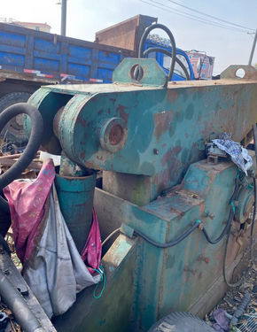 南宁市地区处理鳄鱼剪