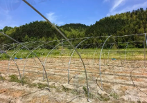 南平市地区处理大棚钢管