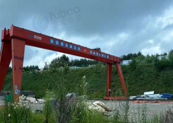 青岛市地区处理10吨行吊