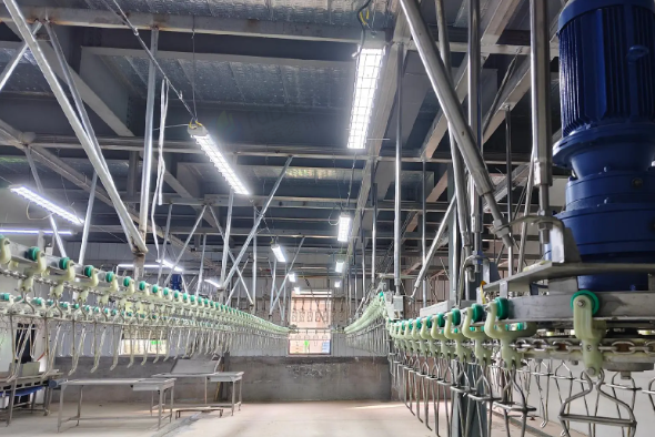 西安市地区处理宰鸡设备、自动分级称、预冷罐等