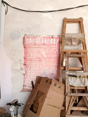 菏泽市地区处理冷榨花生油油机、脱壳机