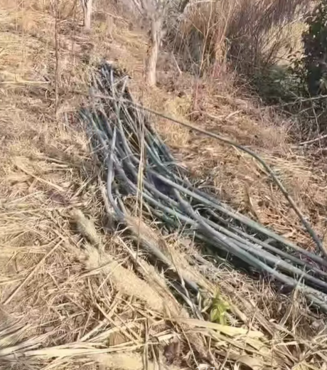 泰州市地区处理6米大棚钢管卡槽一批