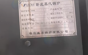 衡水市地区处理蒸汽锅炉