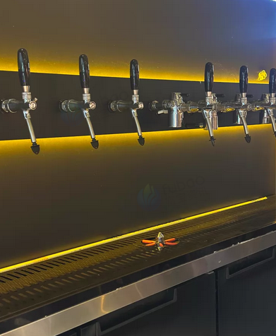 厦门市地区处理10头啤酒墙、扎啤机