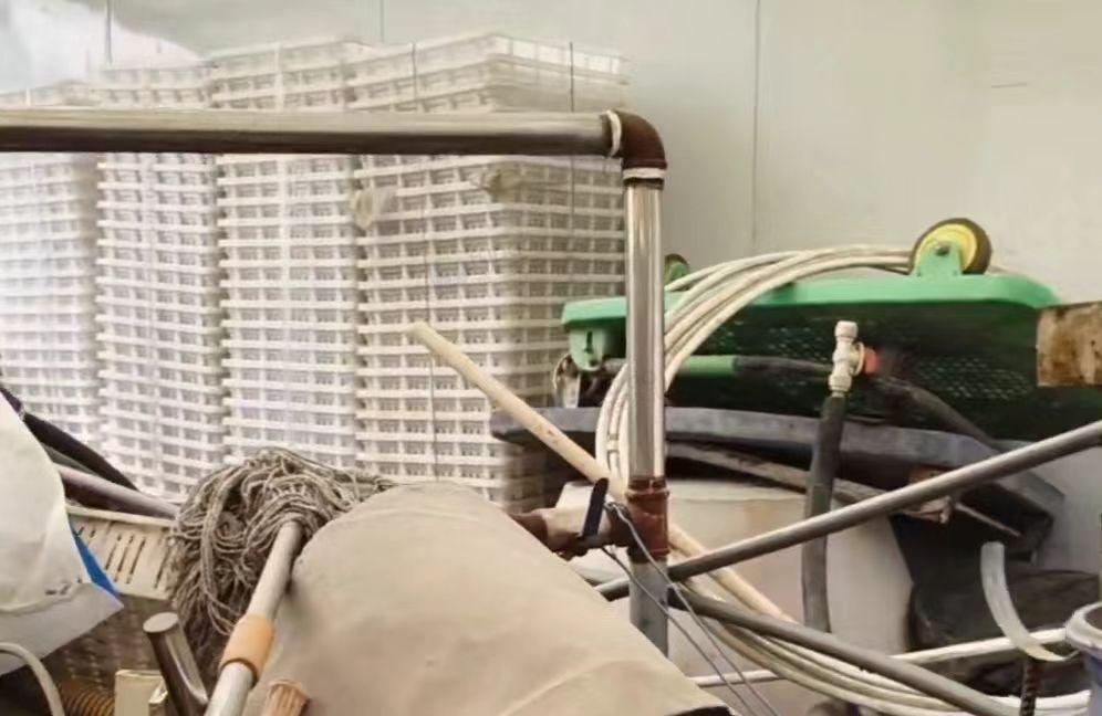 周口市地区处理豆腐制品制作设备