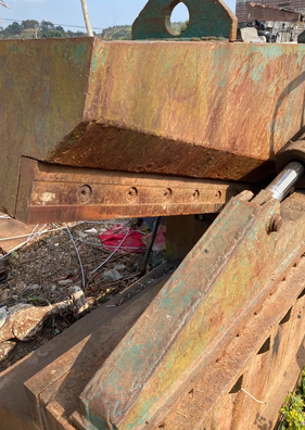 南宁市地区处理鳄鱼剪