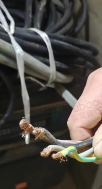 聊城市地区处理三相电电缆