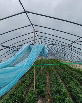 武汉市地区处理1批钢管