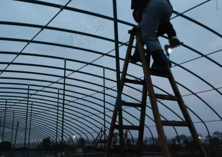 吉安市地区处理大棚及帆布池