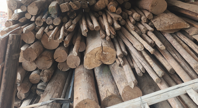 陇南市地区处理大量木材