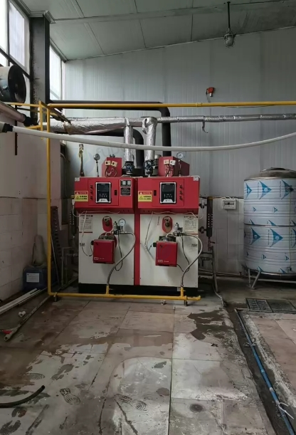 眉山市地区处理双峰燃油（气）蒸汽发生器0.6t/h0.7MPa