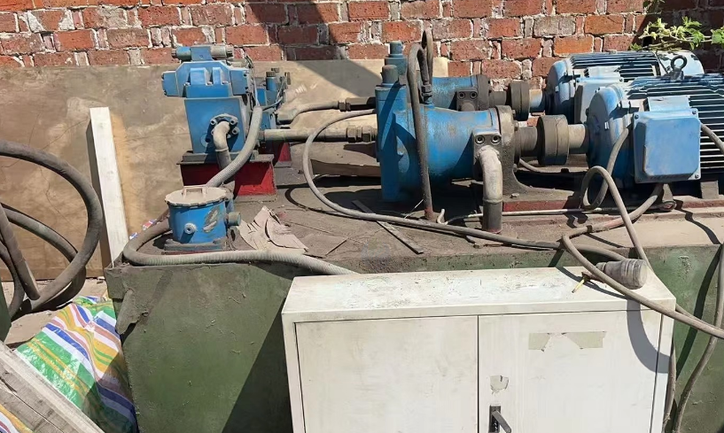 泰州市地区处理400吨鳄鱼剪