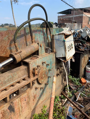 南宁市地区处理鳄鱼剪