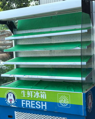 重庆地区自用处理水果保鲜柜