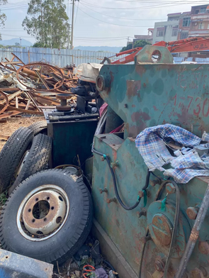 南宁市地区处理鳄鱼剪