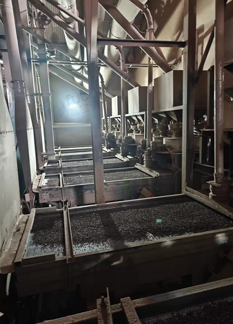 石家庄市地区处理荞麦米生产线