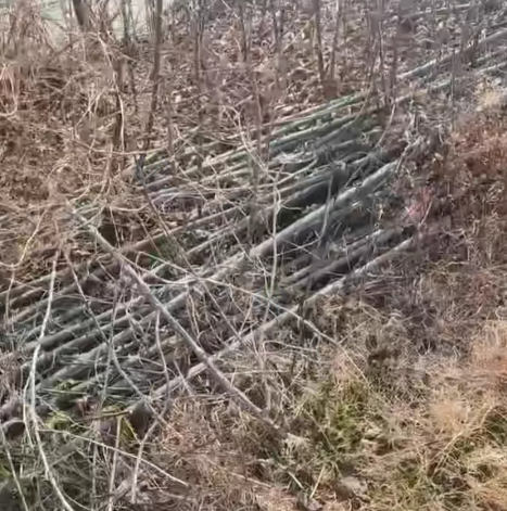 泰州市地区处理6米大棚钢管卡槽一批