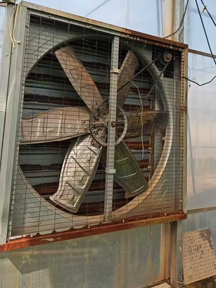 南昌市地区处理负压风机