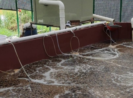 吉安市地区处理大棚及帆布池