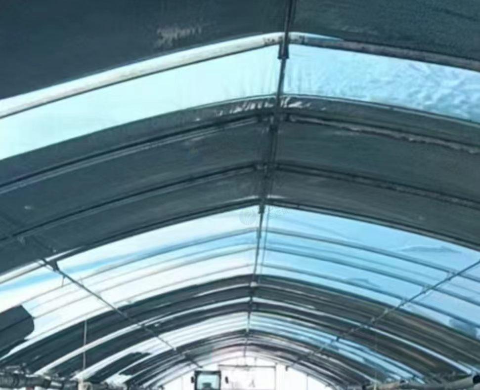 齐齐哈尔市地区处理400平方椭圆管大棚