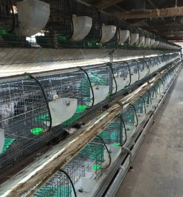 昆明市地区处理兔子养殖设备