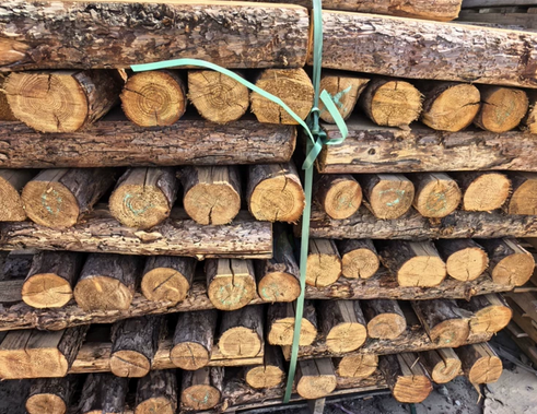 威海市地区处理圆木头 一批