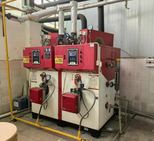 眉山市地区处理双峰燃油（气）蒸汽发生器0.6t/h0.7MPa