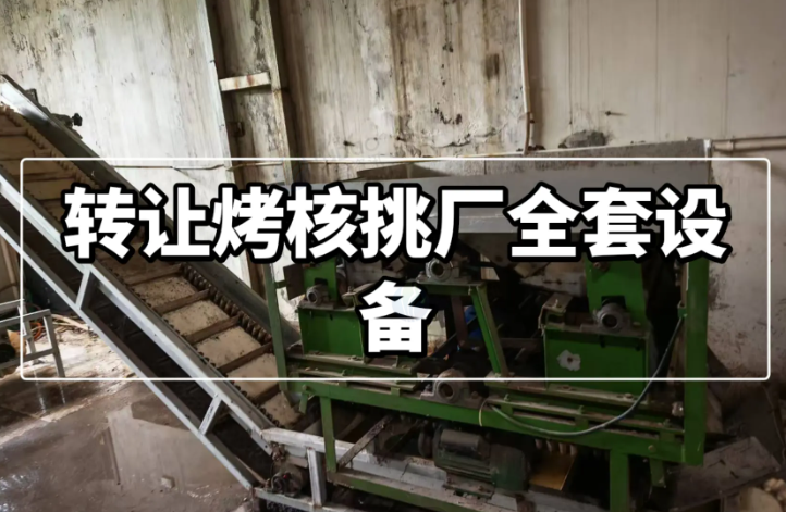 洛阳市地区工厂处理烤核挑厂整厂设备