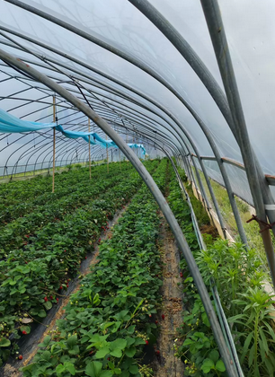 武汉市地区处理1批钢管