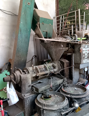 菏泽市地区处理冷榨花生油油机、脱壳机